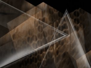 企业服务试用期限：充分利用免费期